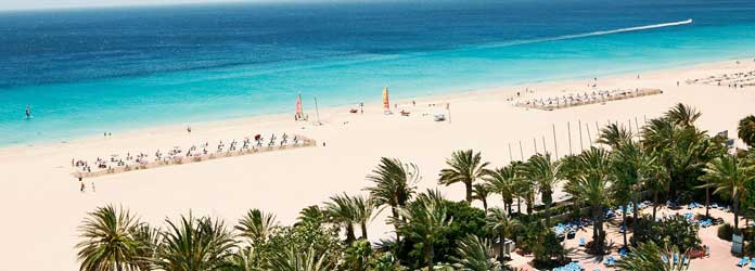 Jania Playa