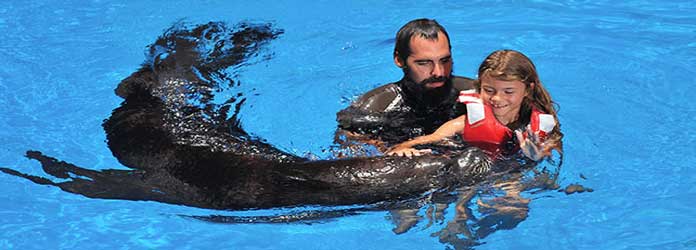 Oasis Park, Leones Marinos Experiencia